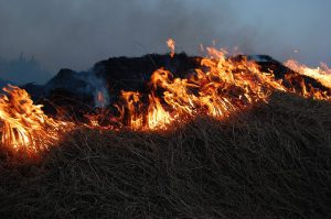 Wzmożone działania strażaków